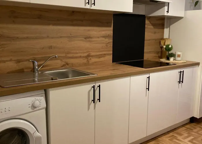 Lumineux Avec Balcon Au Centre De Dunkerque * Duinkerke