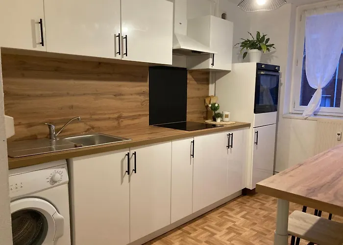 Lumineux Avec Balcon Au Centre De Dunkerque Daire *